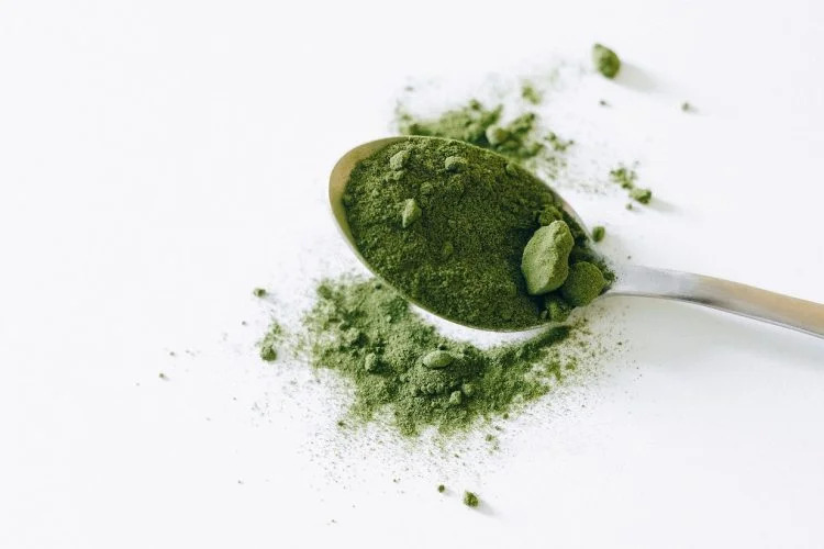 Kratom 101: What It’s Made Of and How to Make It Delicious