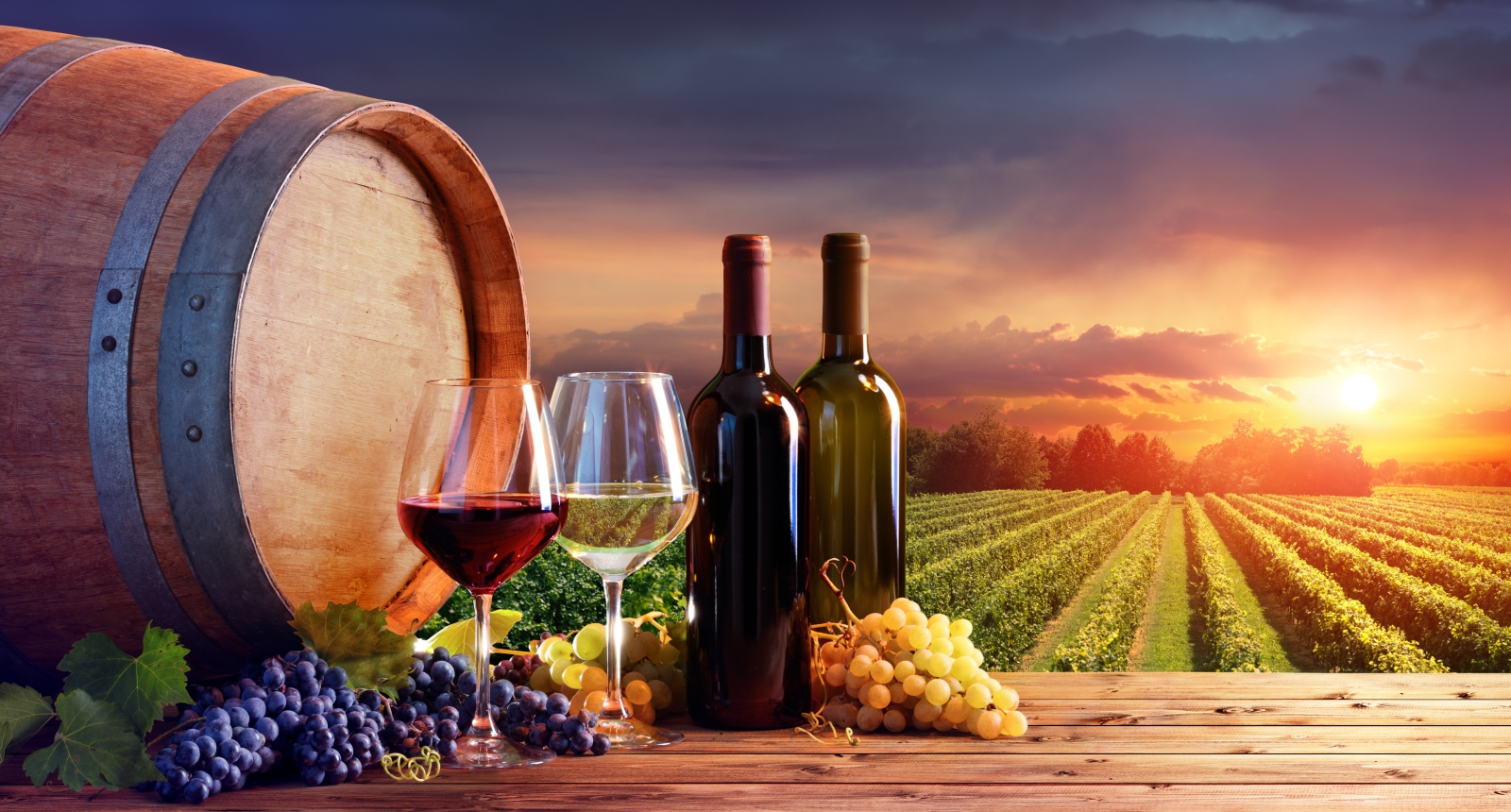 The Top 5 Best New Wines of 2025: A Sip into the Future