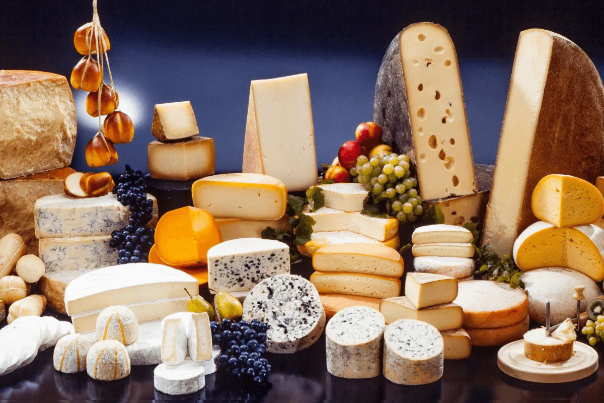 The Top 5 Best Vegan Cheeses You Need to Try